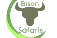 Bison-Safaris