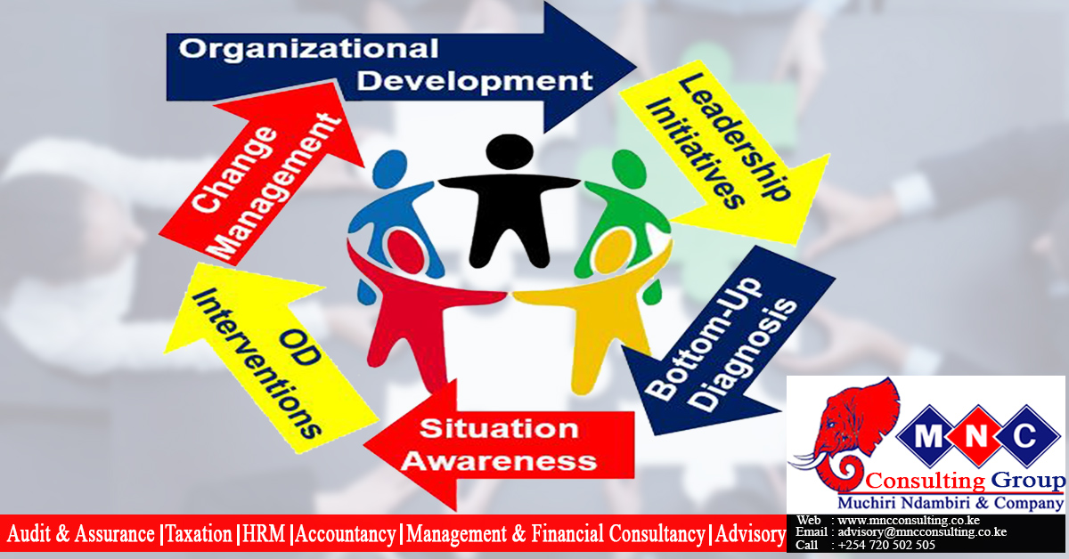 Organization Development